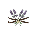 lavender vanilla oil